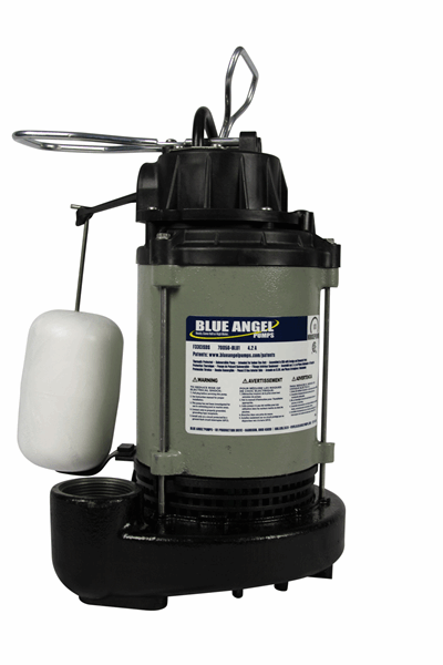 BLUE ANGEL 1/3 HP DUAL SUCTION CAST IRON