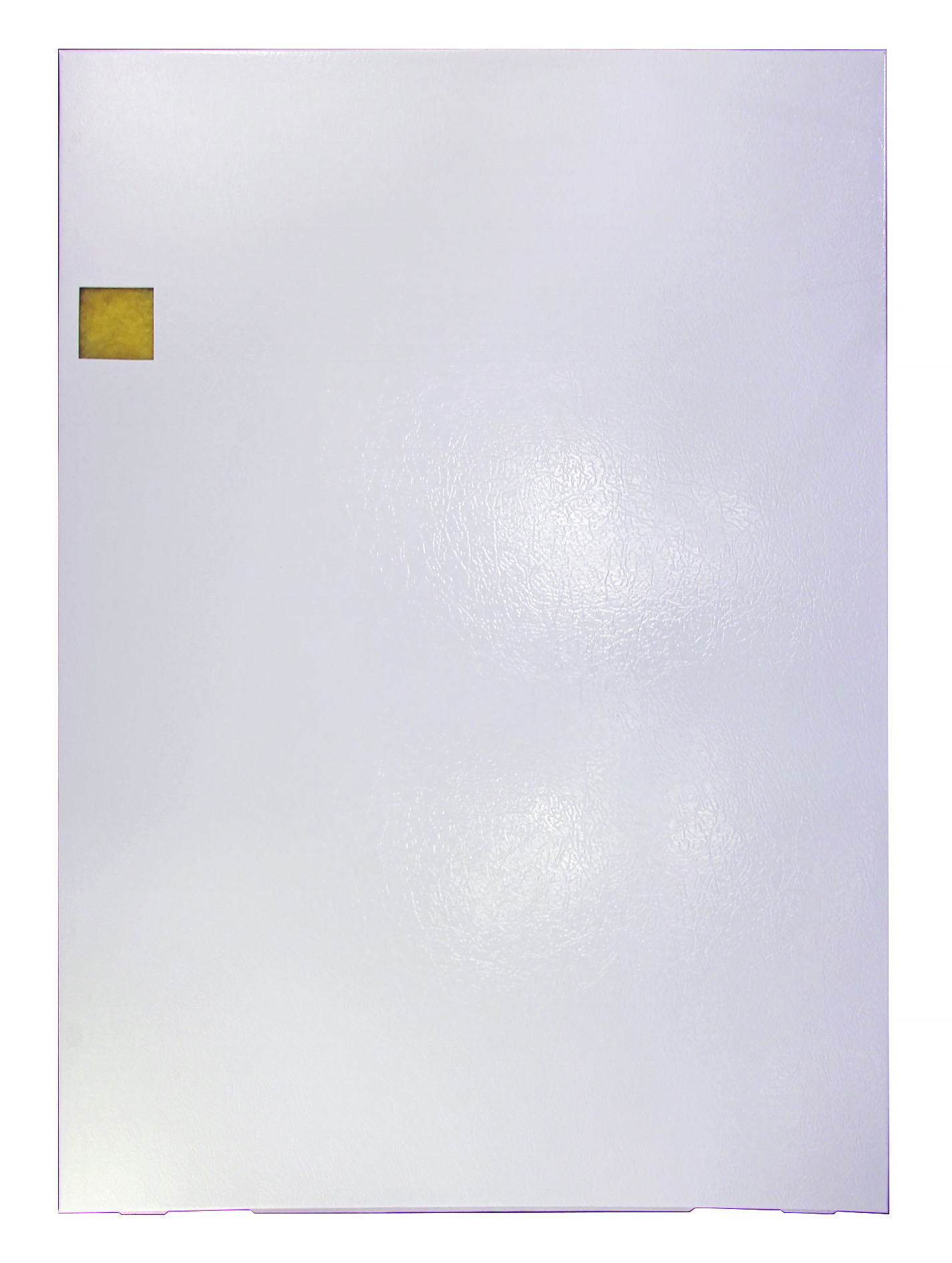 DOOR-E2 SERIES/WHITE/W INSU